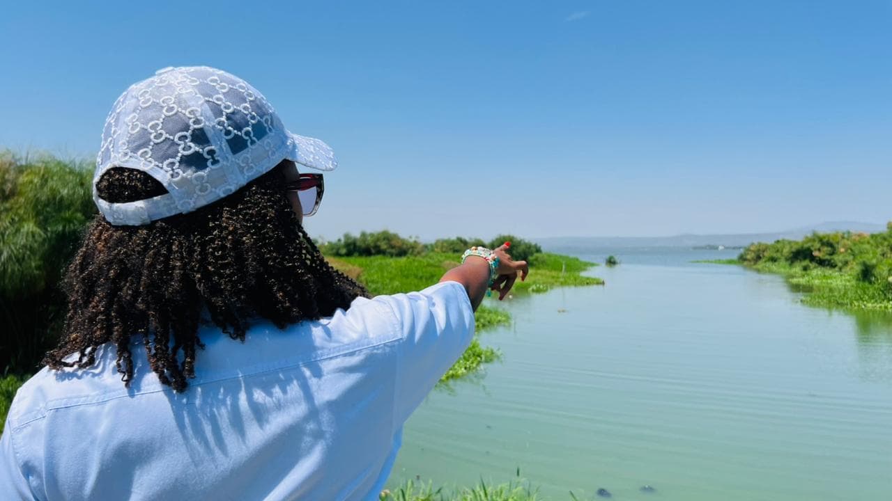 Wetland Assessment Work