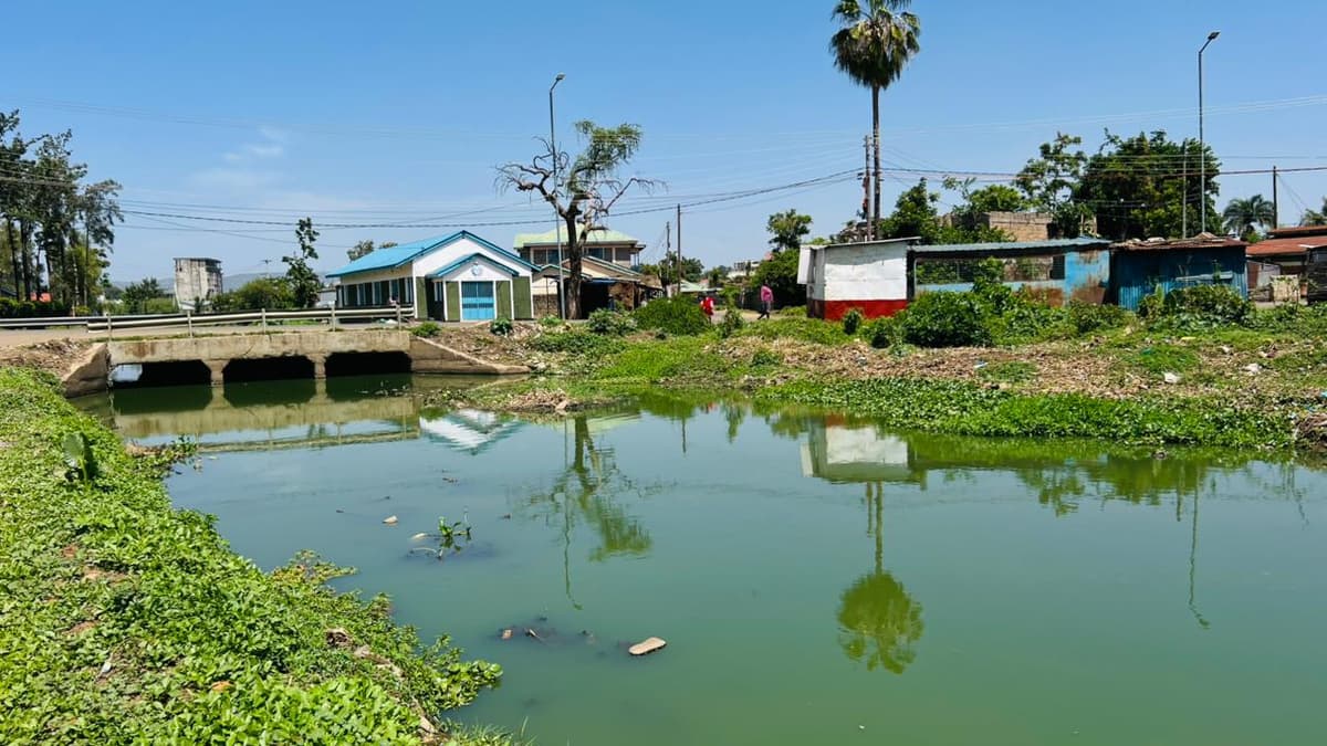 Urban Water Pollution