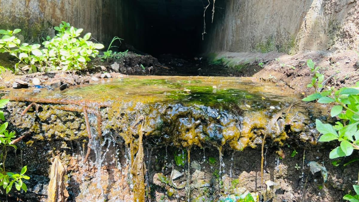 Pollution Source Tracking